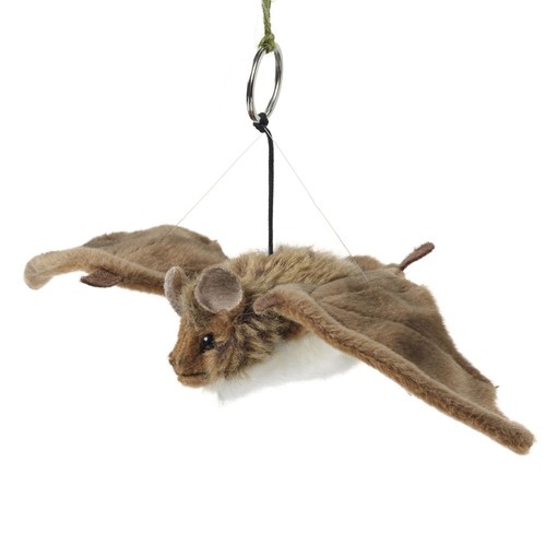 Living nature an336 bat brown - living,